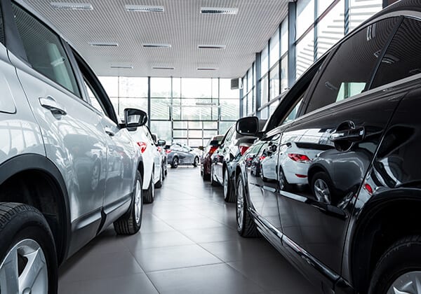 New cars at dealer showroom Best Park City Dealership Cleaning